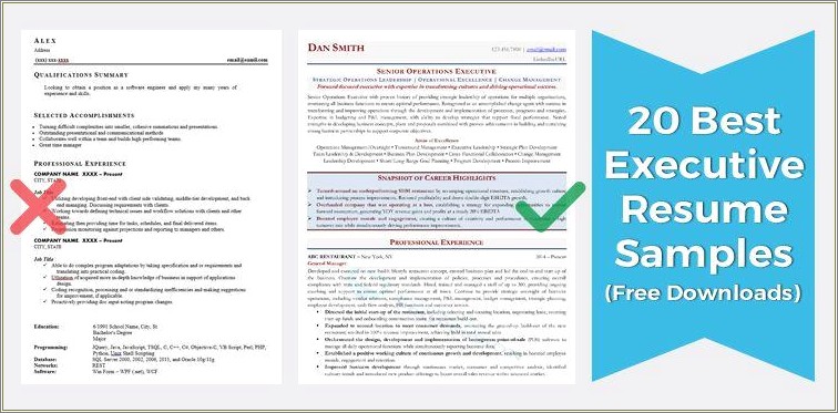 Vice President Of Security Resume Examples