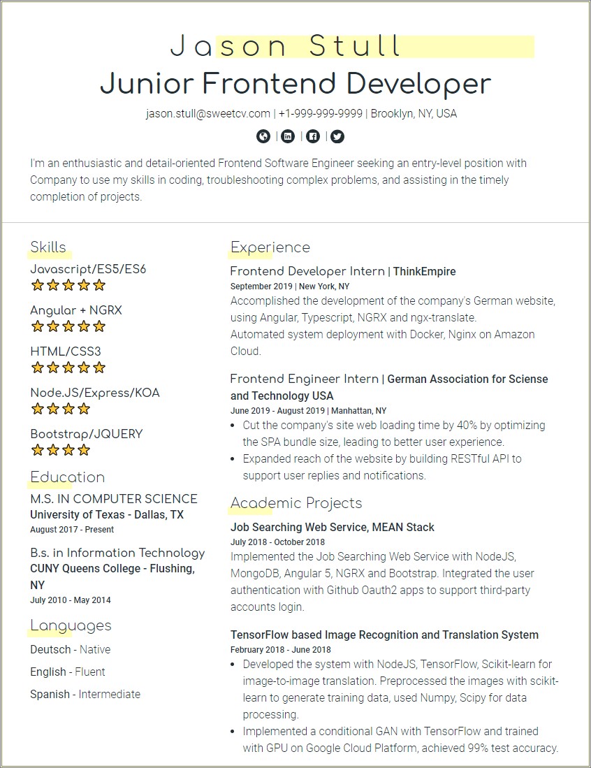 Web Developer Resume Summary Statement Examples