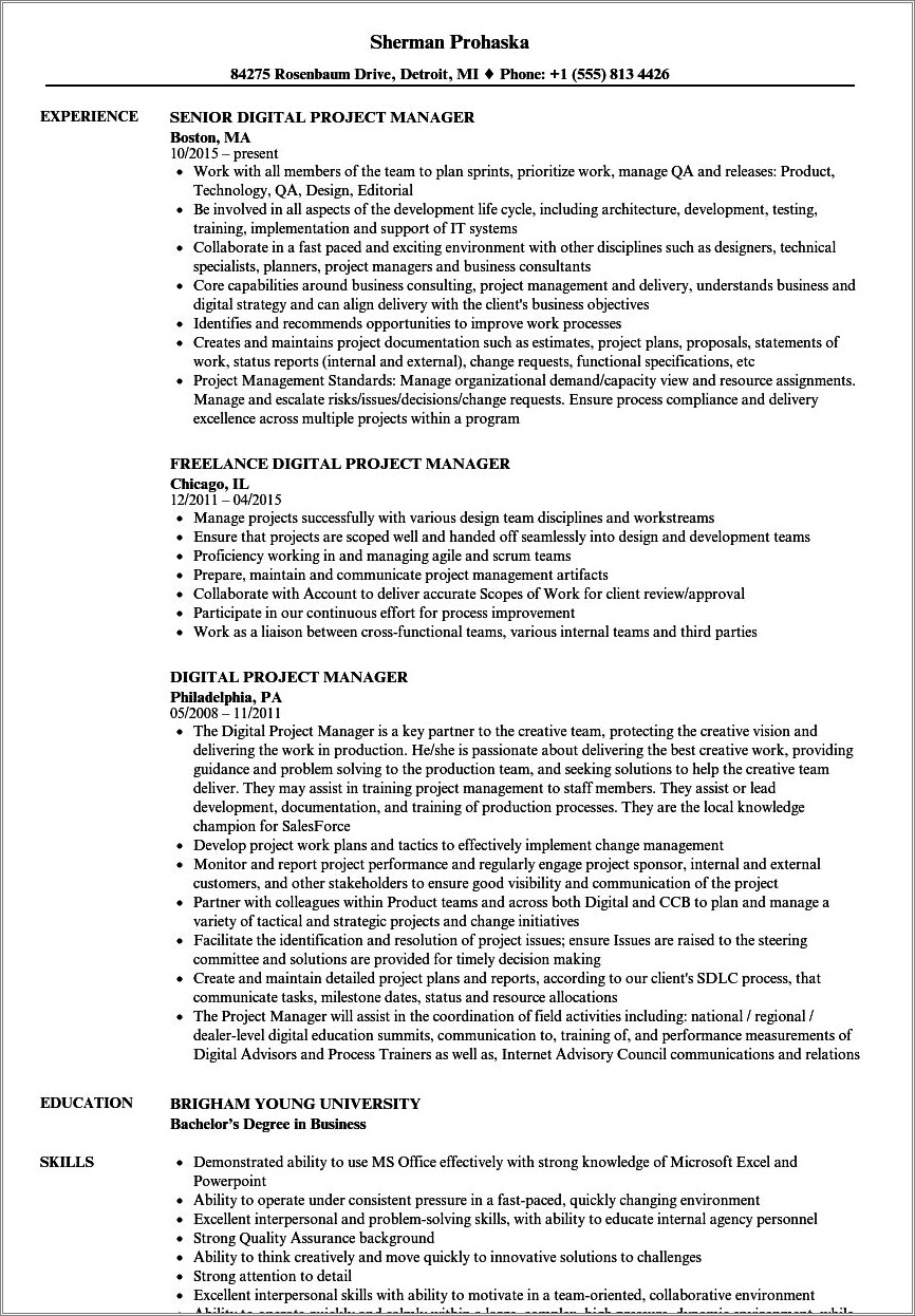 Web Project Manager Resume Off Shore Management