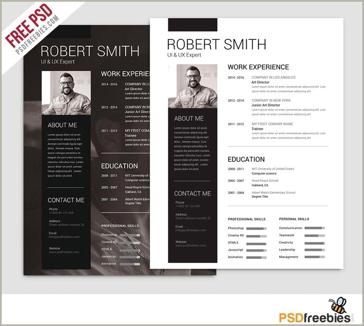 Work Experience Resume Psd Free Download