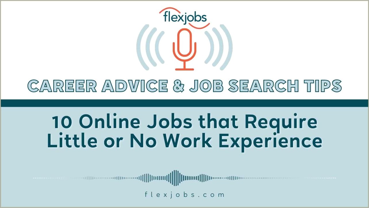 Work From Home No Resume No Experience