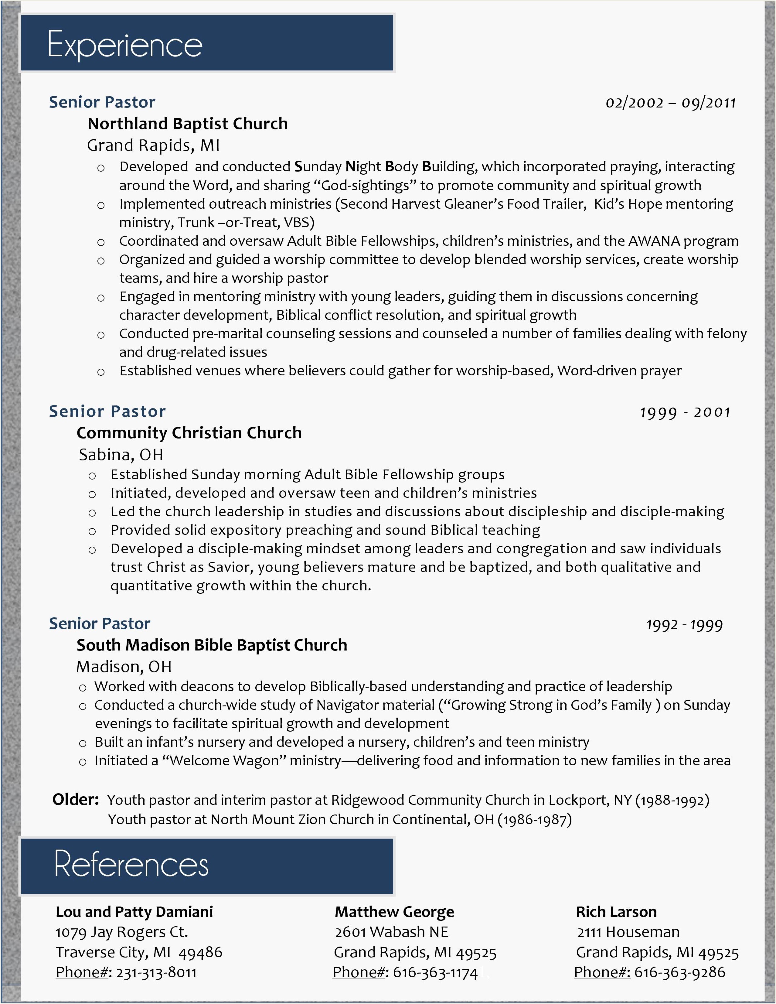 Youth Minister Professional Summary For Resume
