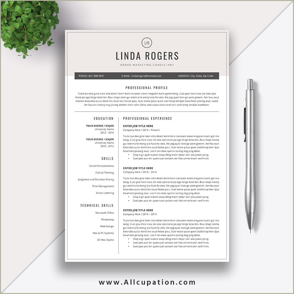 2 Page Cv Template Word Free Download
