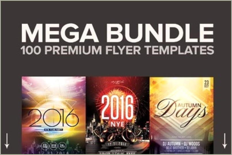 300 Flyer Templates Mega Bundle Free Download