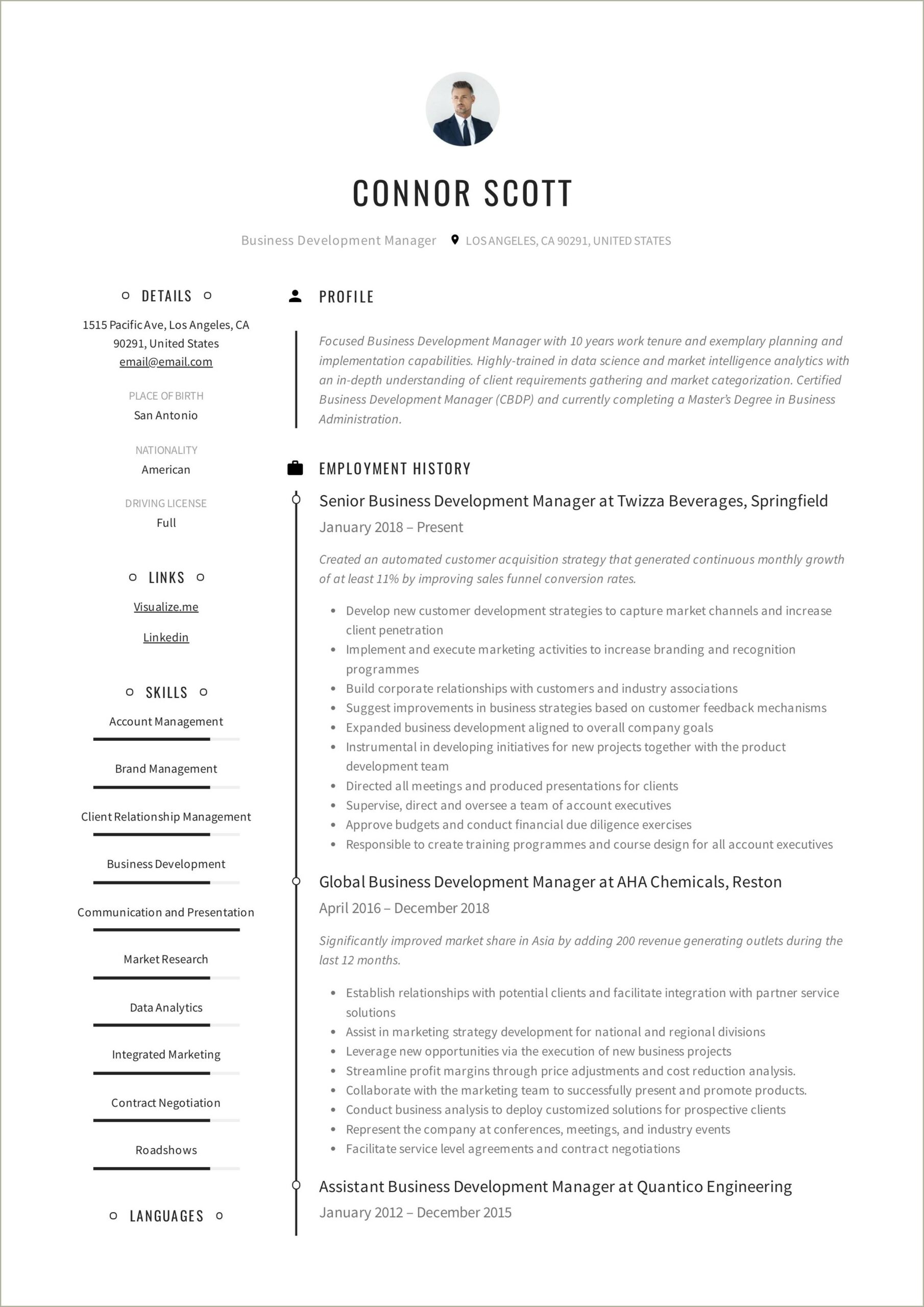 Airline Account Manager Resume Sample