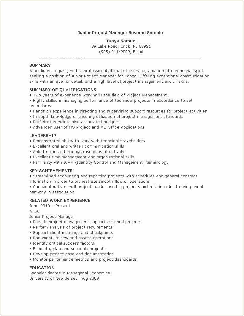 Application Support Manager Resume Summary