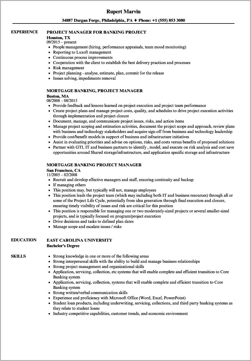 Banking Domain Project Manager Resume