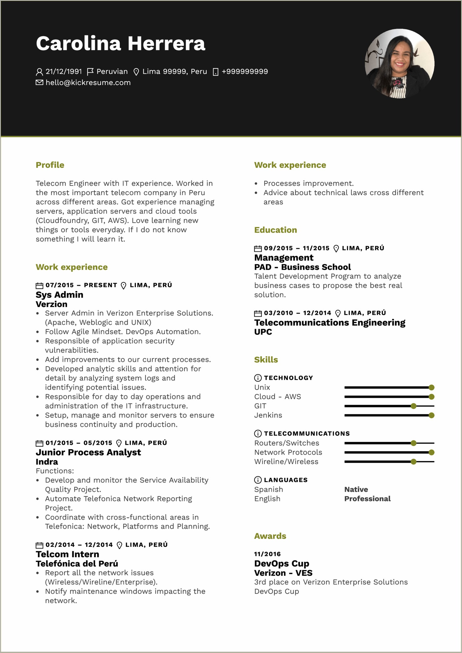 Best Professional Resume Examples 2015