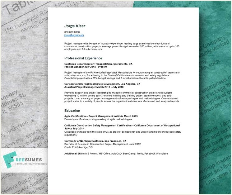 Best Project Manager Resume Template