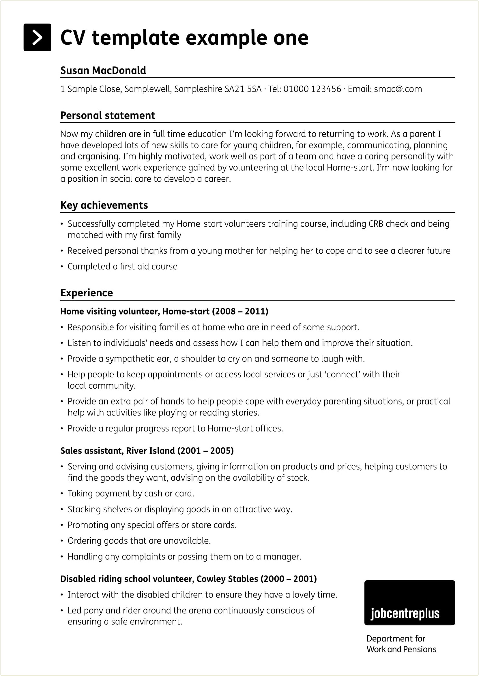 Best Summary Examples For Resume