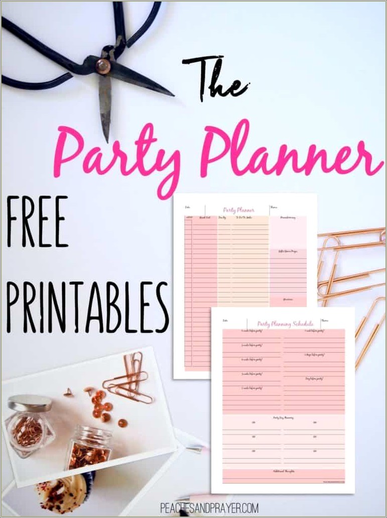 Birthday Party Planner Template Free For Teens