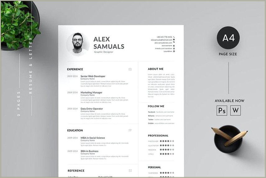 Combination Resume Template Free Download