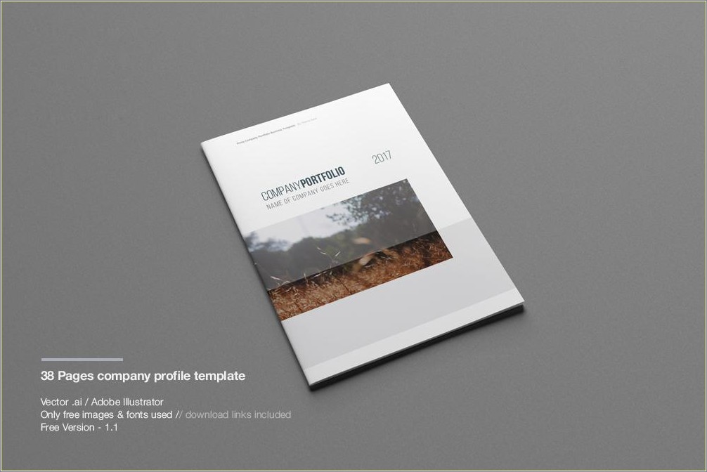 Company Profile Cover Design Template Free Download