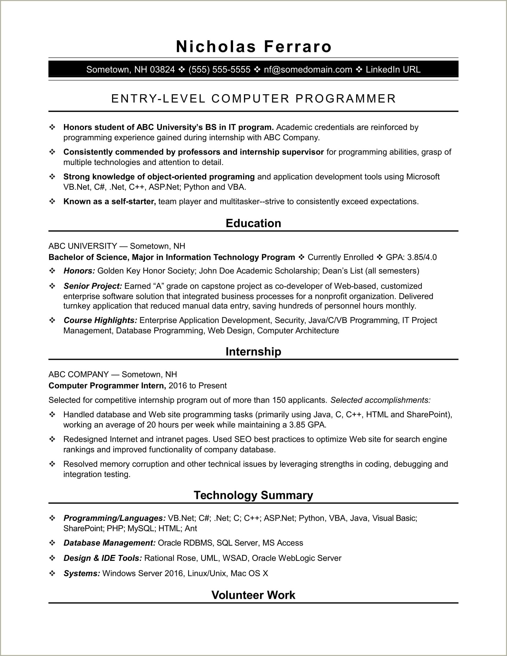 Computer Programming Resume Internship Examples