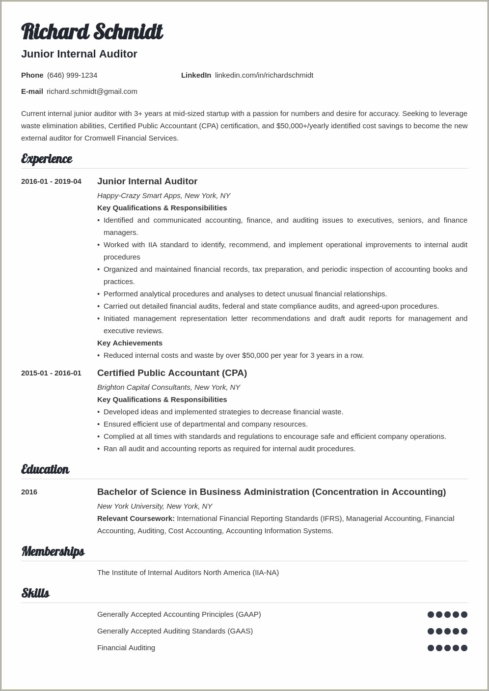 Control And Audit Sample Resume