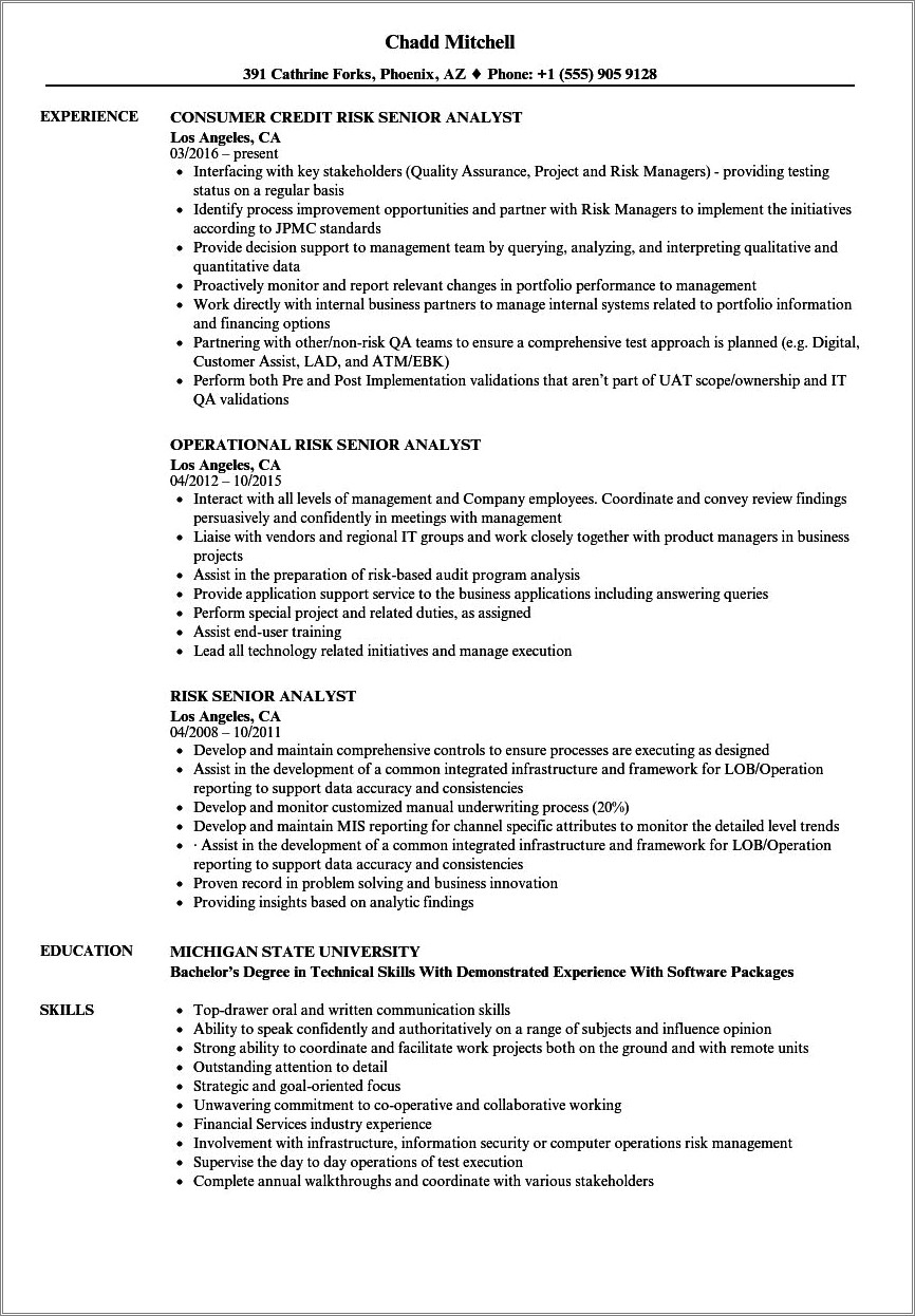 Credit Risk Analyst Resume Example