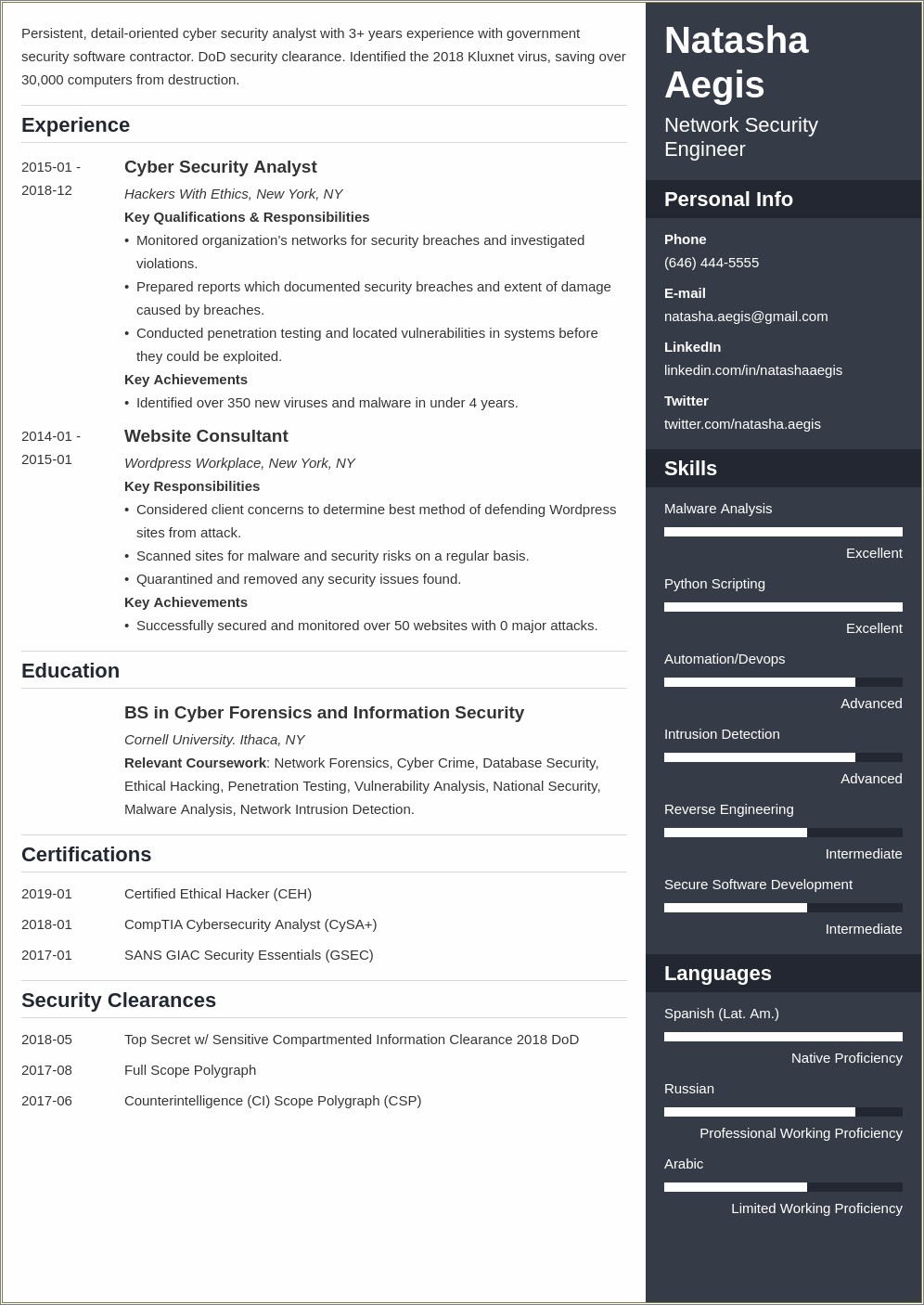 Entry Level Cybersecurity Resume Sample
