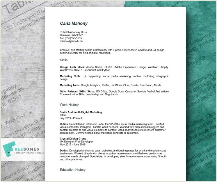 Examples Of Professional Resumes 2019