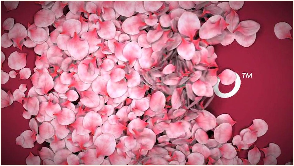Falling Flower Petals After Effects Template Free Download