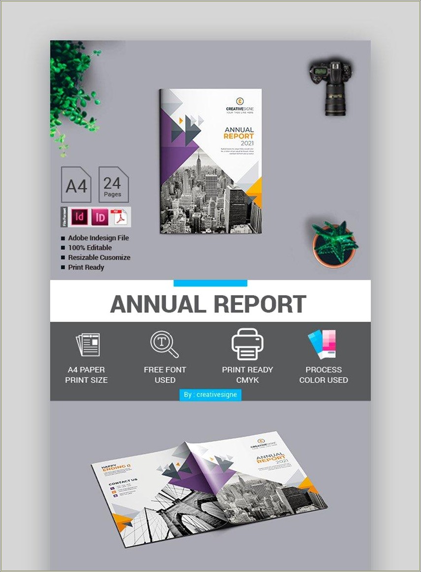 Free Annual Report Template Non Profit Word