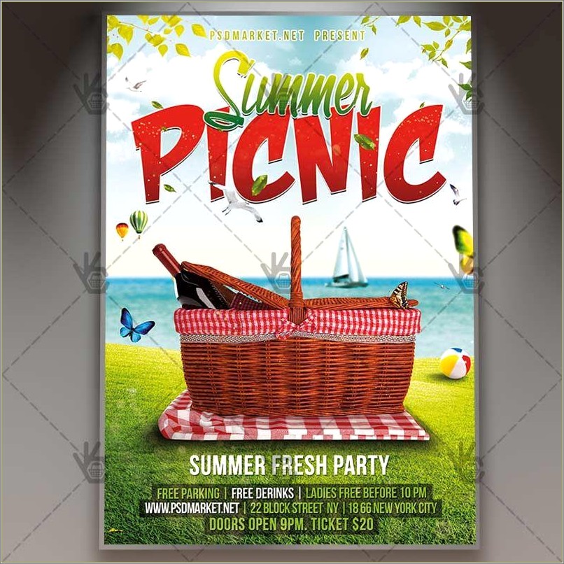 Free Download Summer School Picnic Flyer Templates
