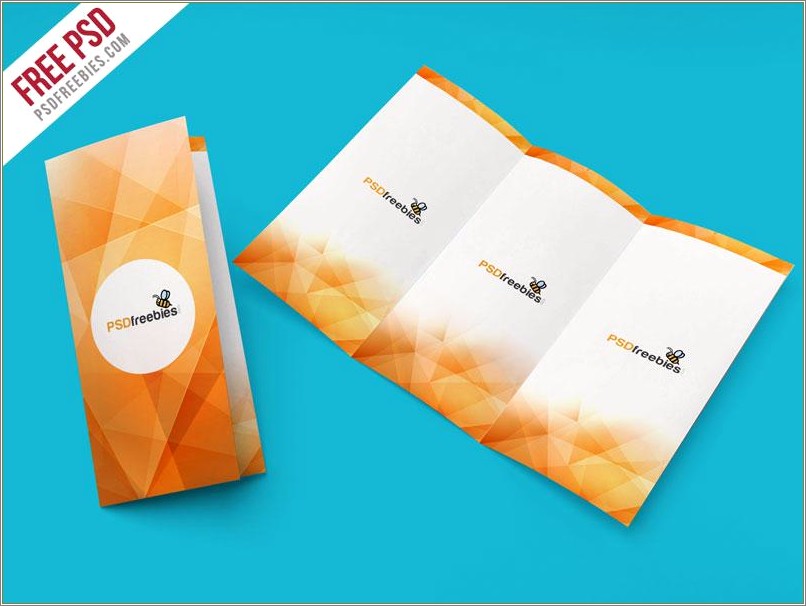 Free Downloadable Templates For Brochures Tri Fold