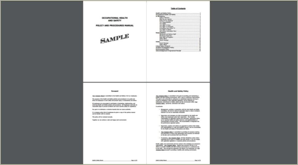 Free Environmental Health And Safety Manual Template
