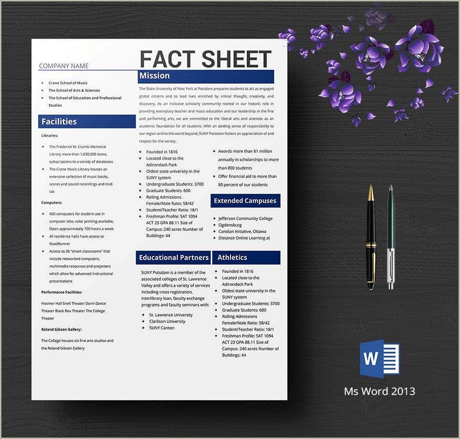 Free Fact Sheet Template New Business Client