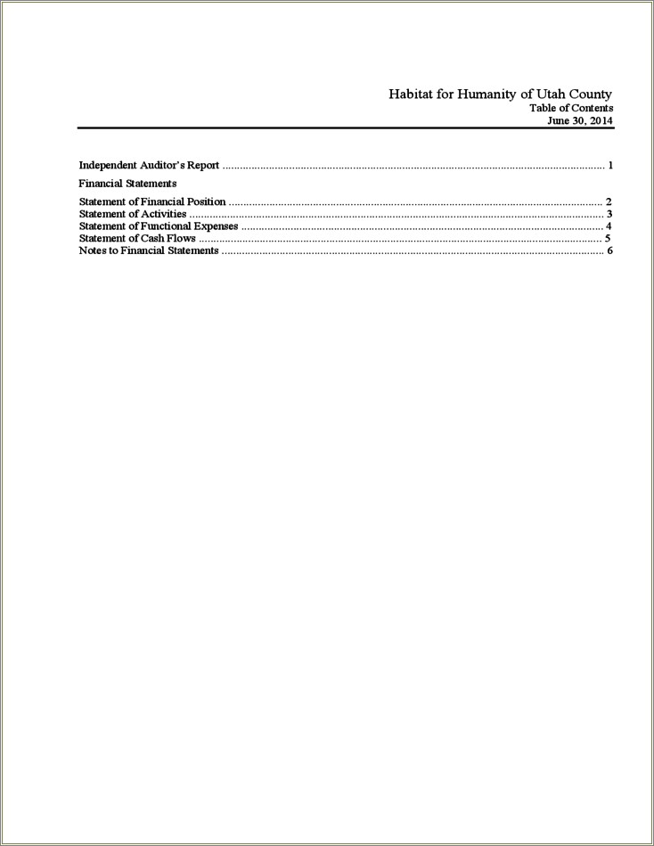 Free Financial Statement Template For Non Profit Organization