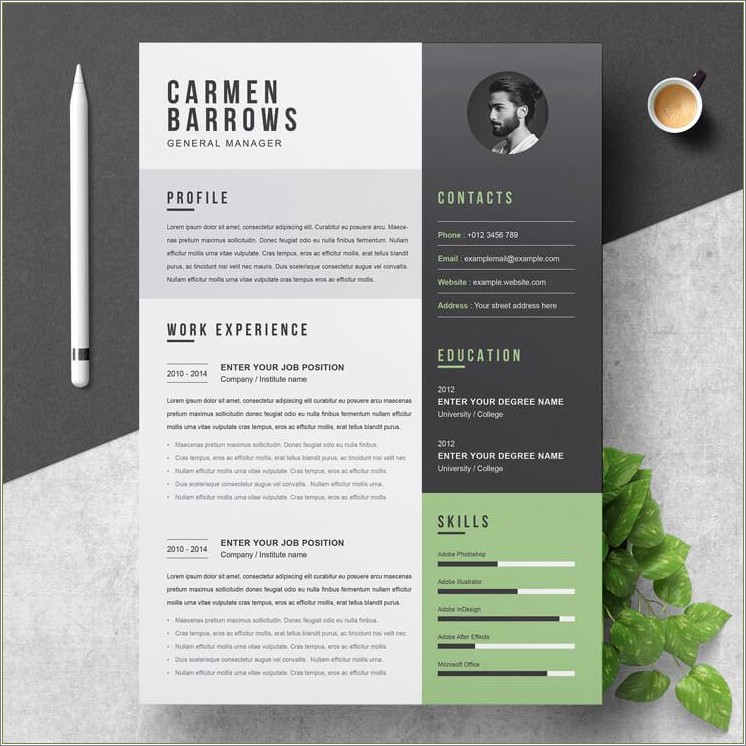 Free Modern Template For Resume