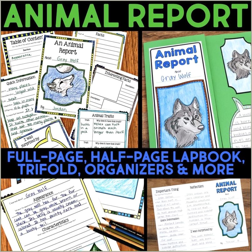 Free Printable Graphic Organizer Templates For Animal Research