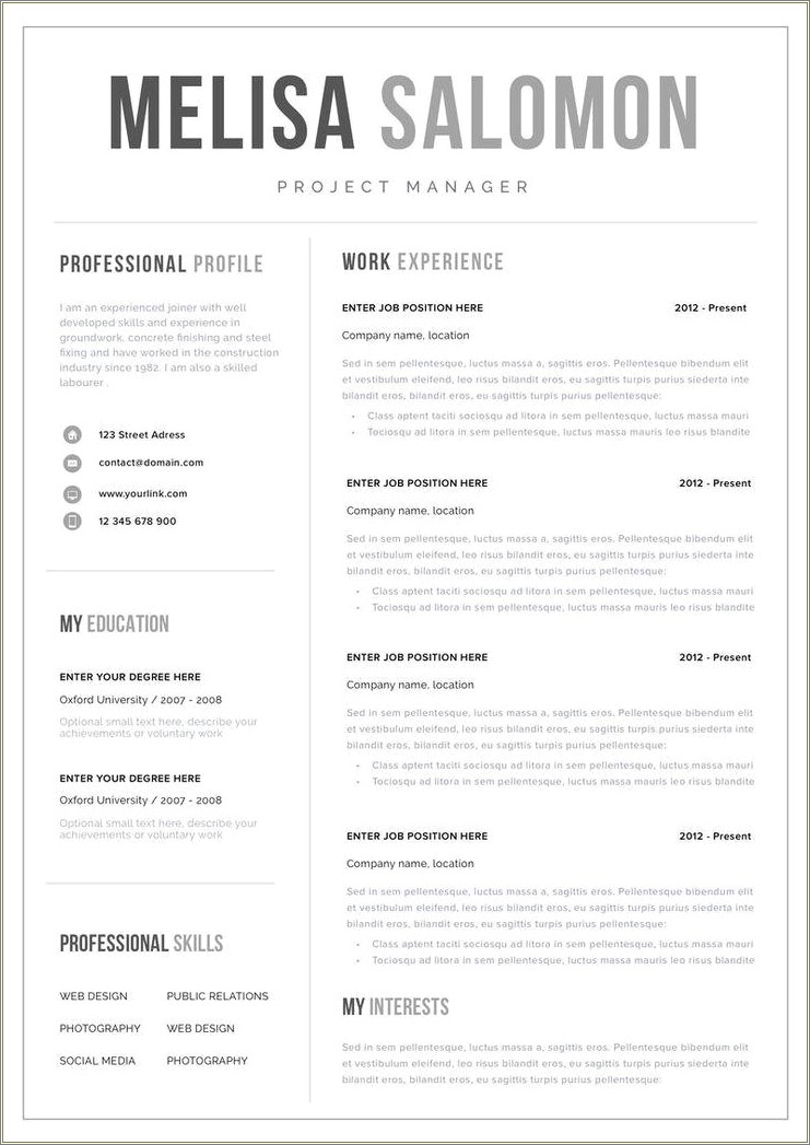 Free Professional Cv Template With Professional Word Usage