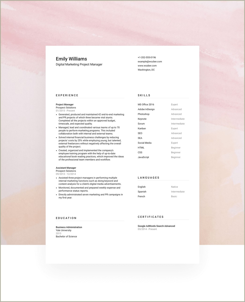 Free Resume Template More Text