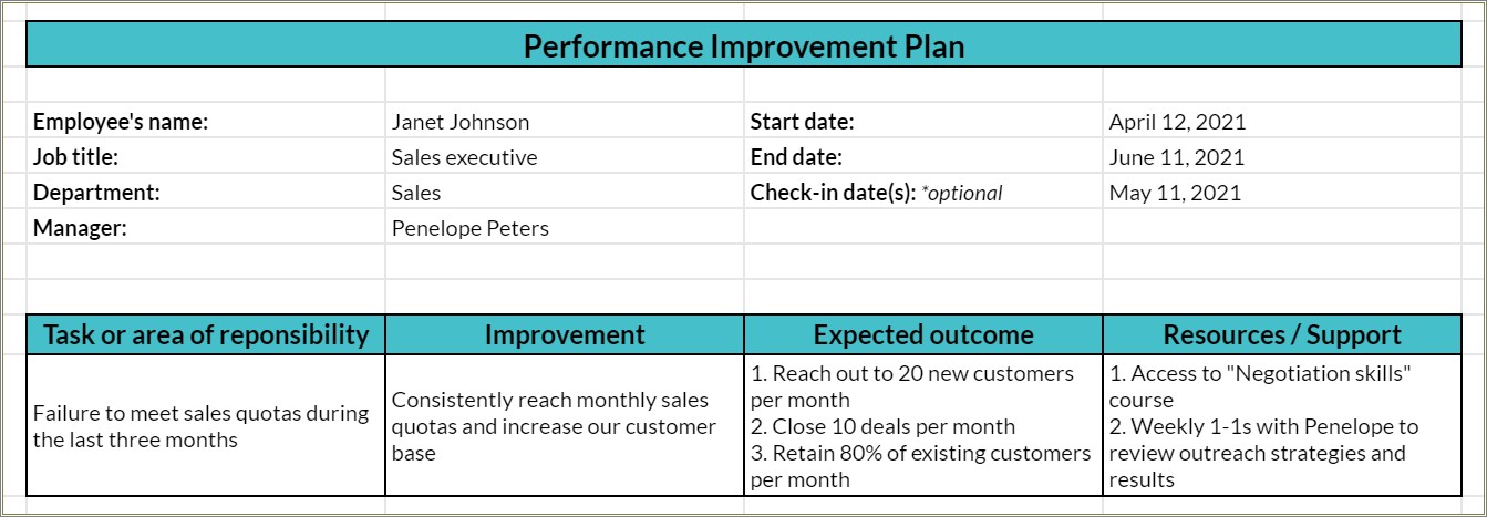 Free Sample Of Performance Improvement Plan Template