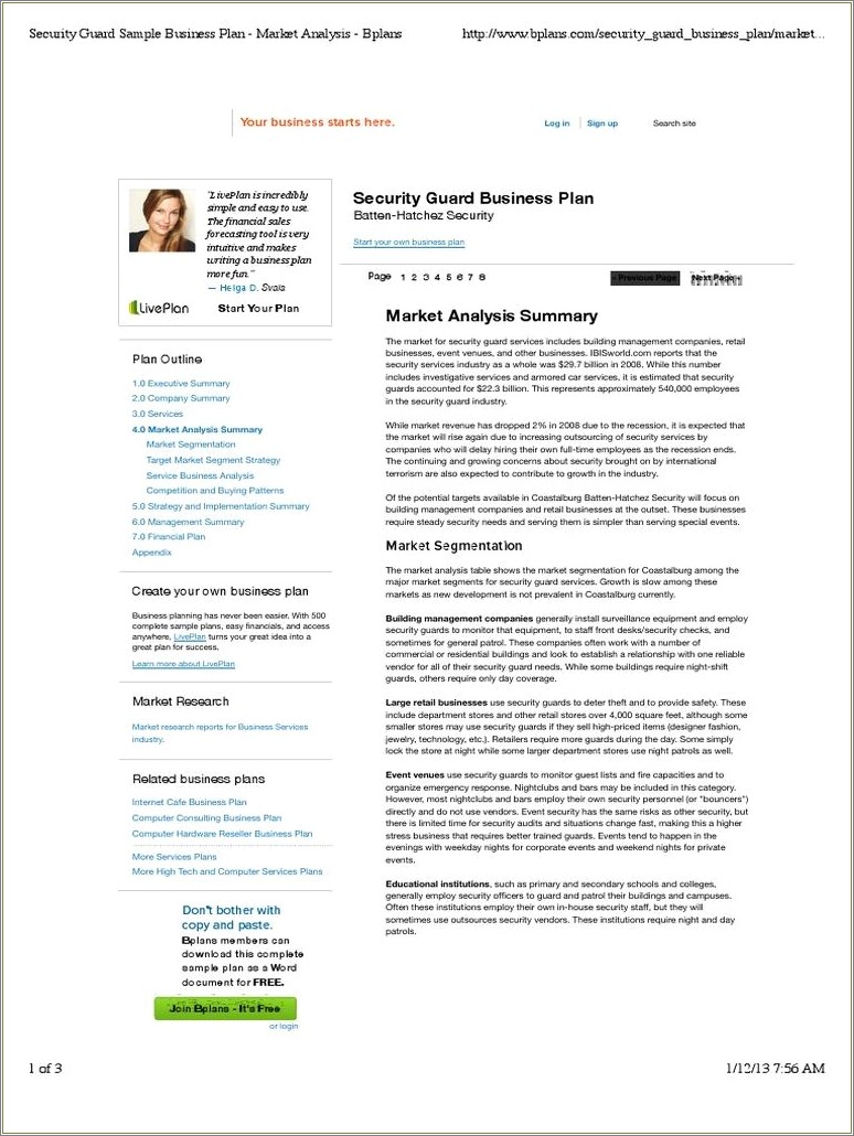 Free Security Company Business Plan Template Pdf