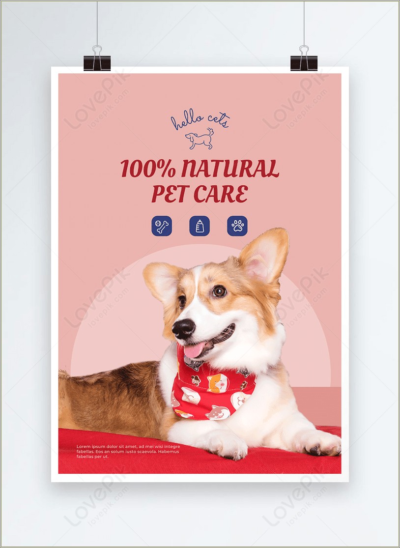 Free Templates Cats And Dogs For Posters