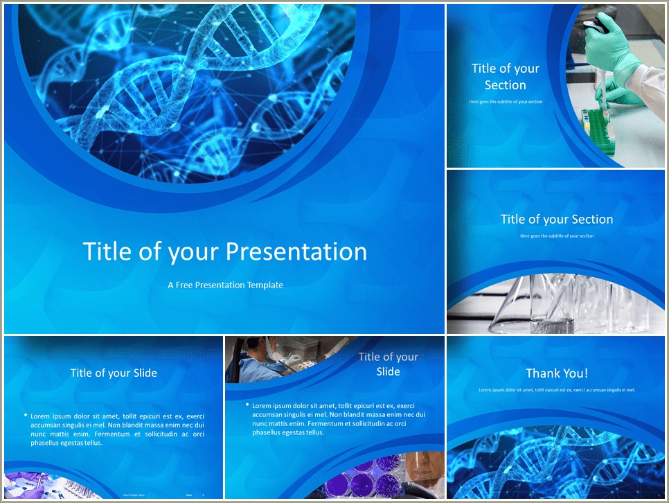 Free Thank You Template For Powerpoint Presentation