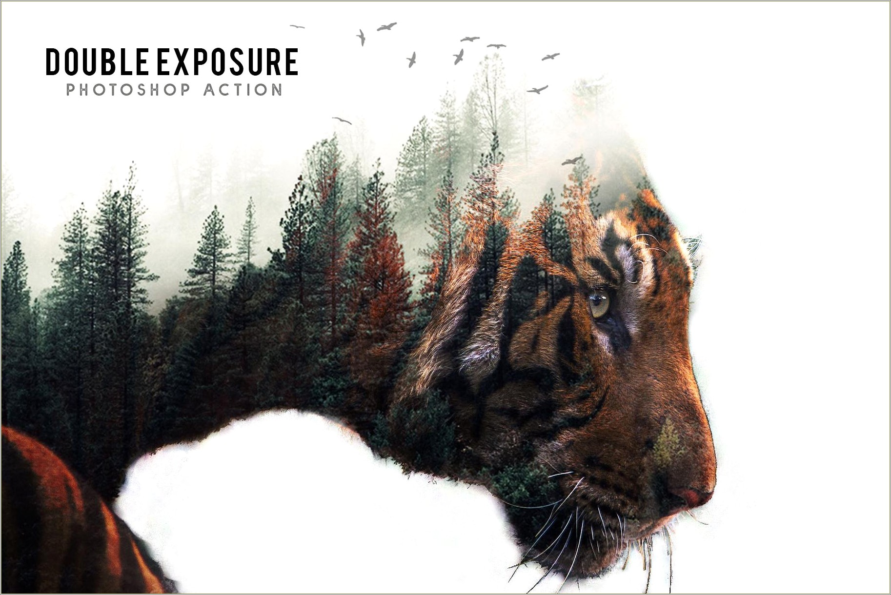 Graphicriver Free Color Double Exposure Photoshop Photo Template