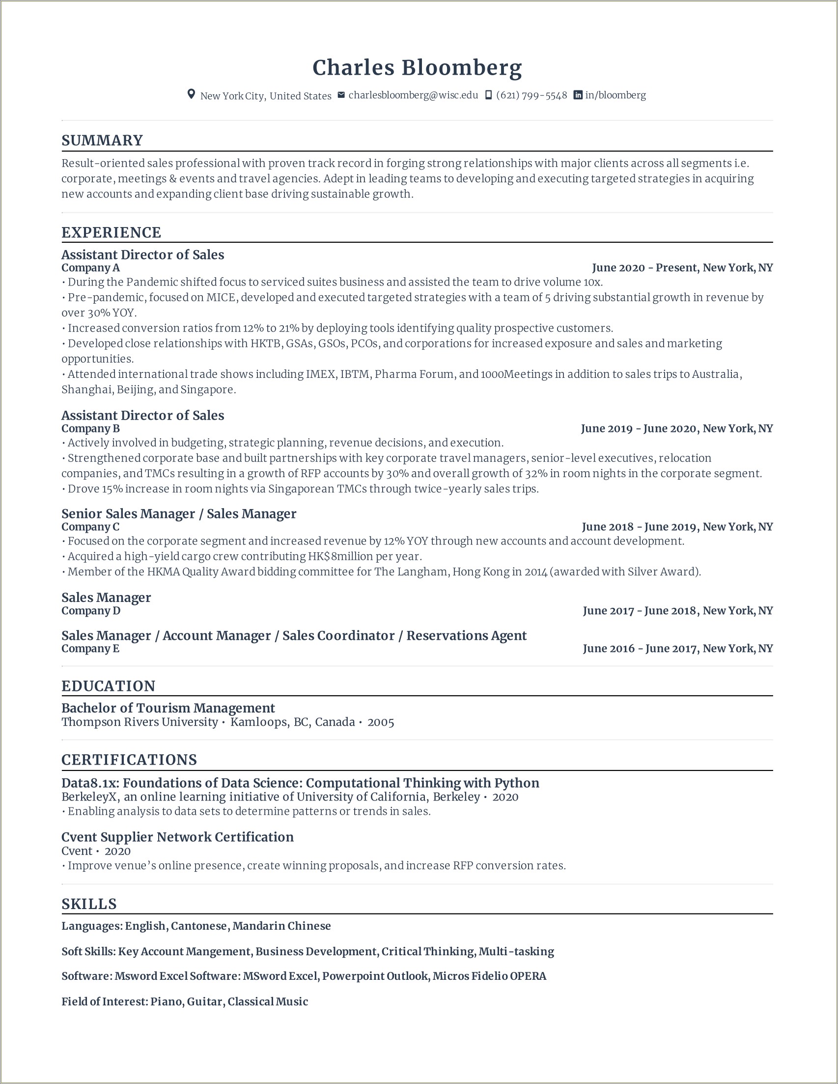 Great Examples Of Sales Resumes