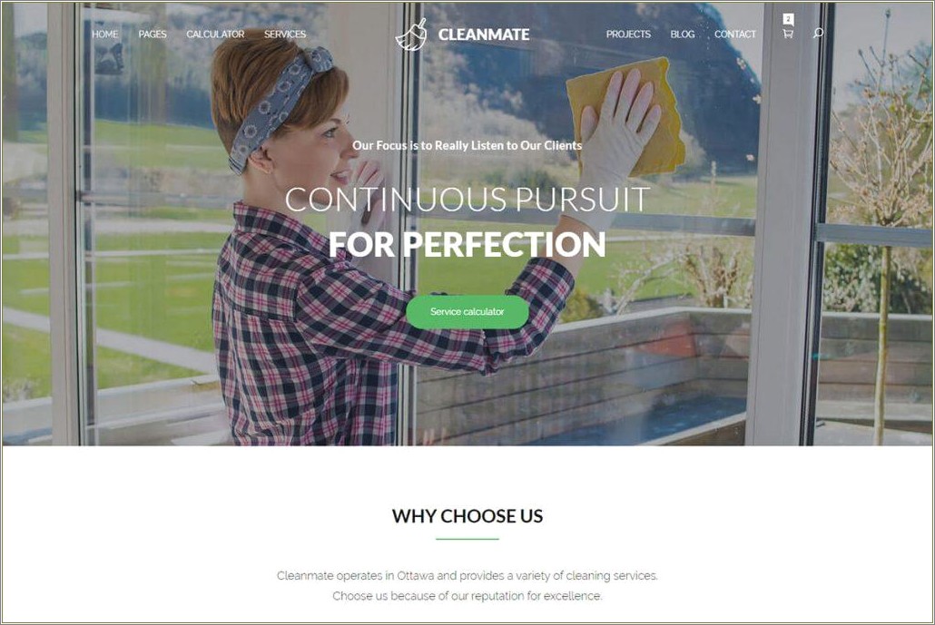 Kleanius Cleaning Services Html Template Free Download