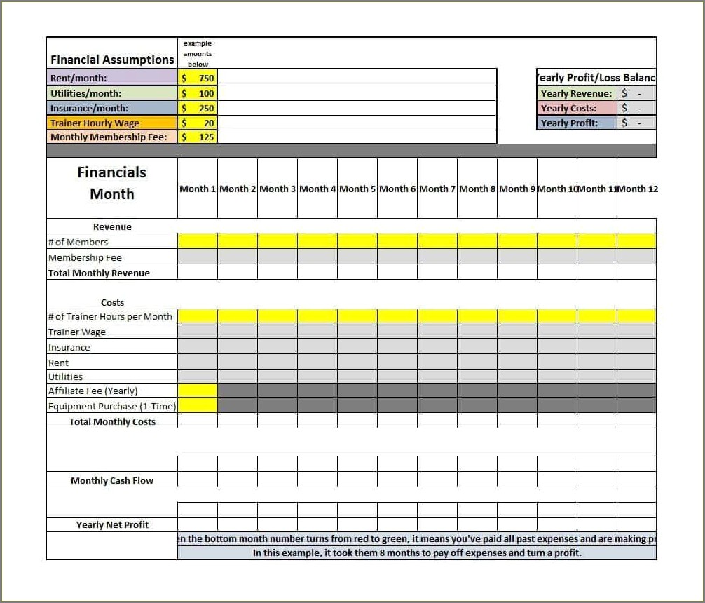 Monthly Profit And Loss Statement Template Free Download