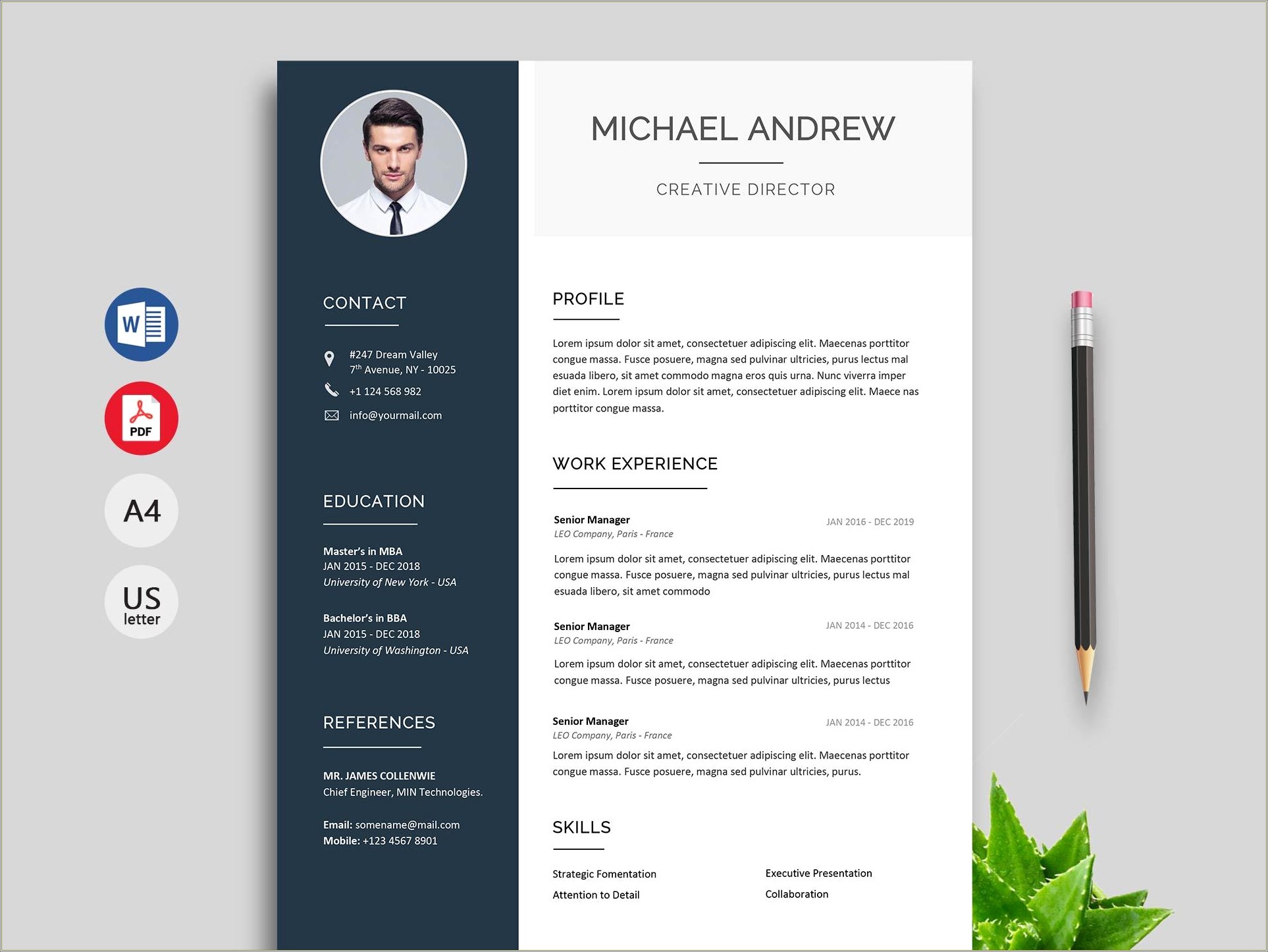 Professional Cv Template Free Download With Picture