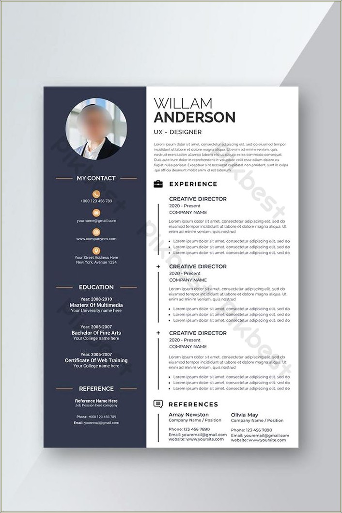 Professional Cv Template Word With Photo Free Download