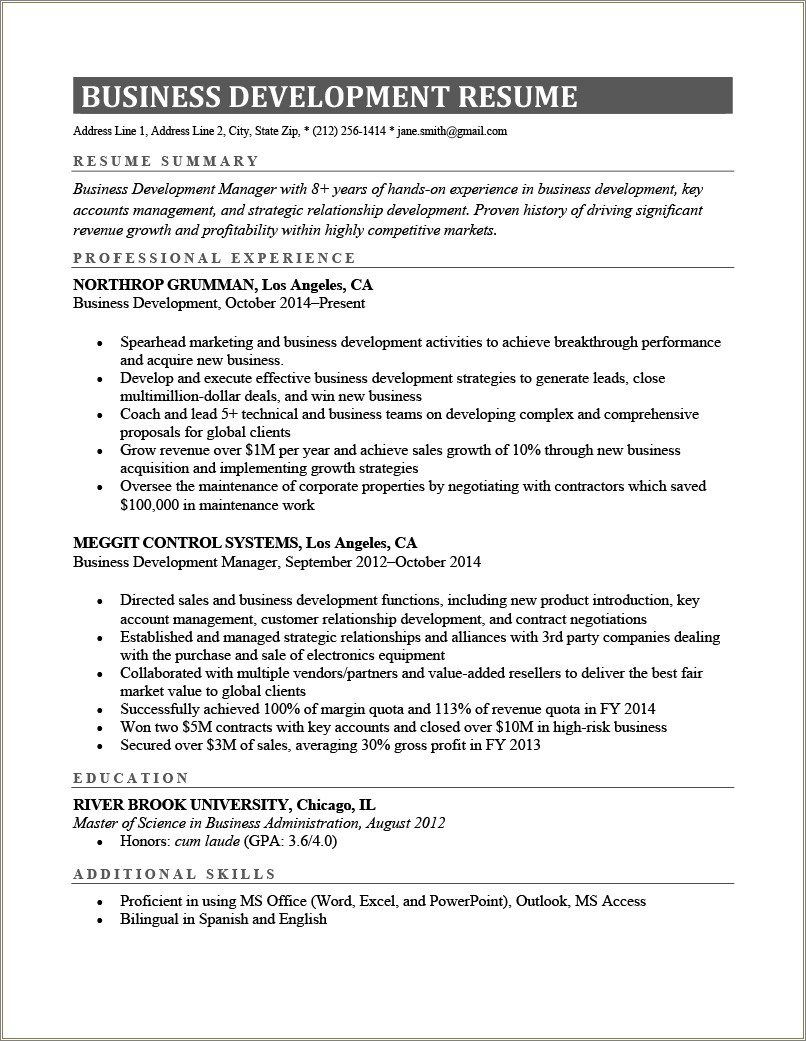 Professional Resume Business Development Manager