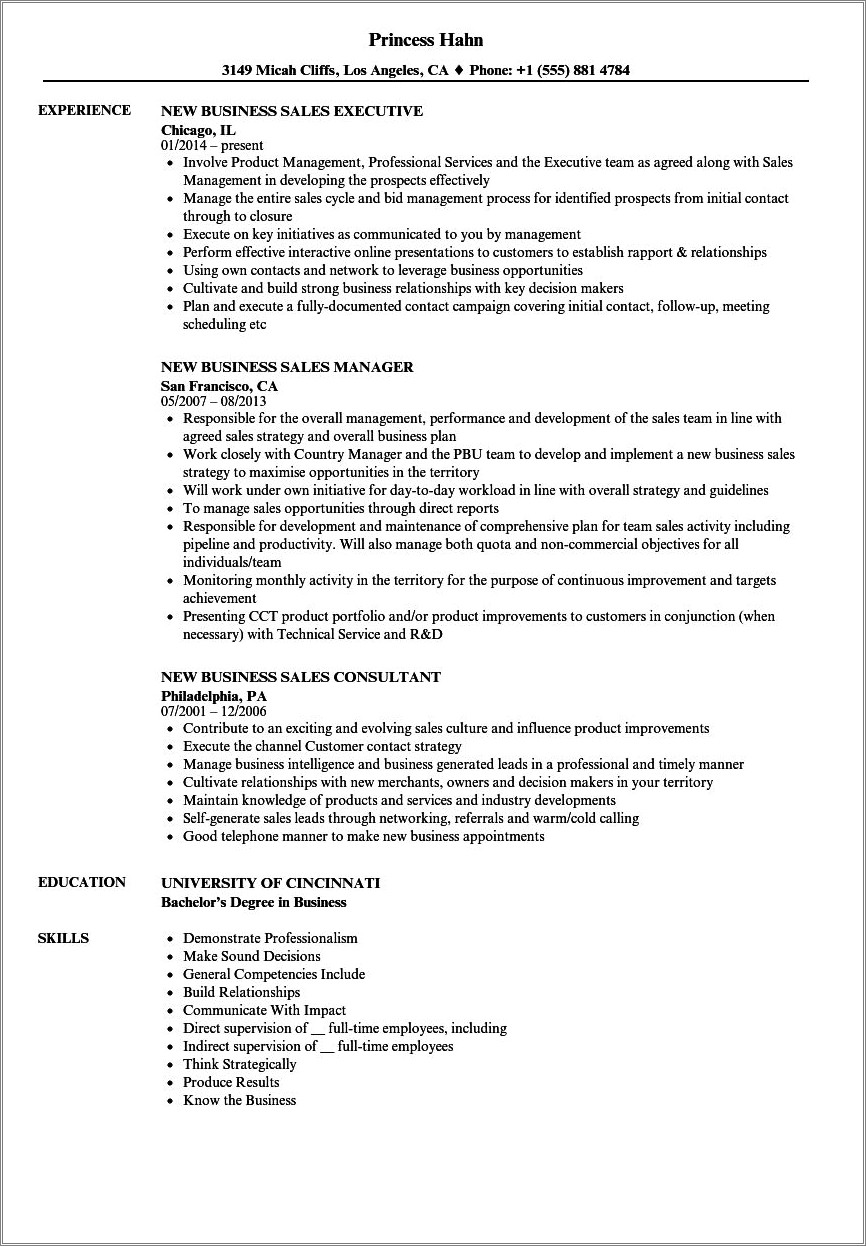 Resume Examples For B2b Sales