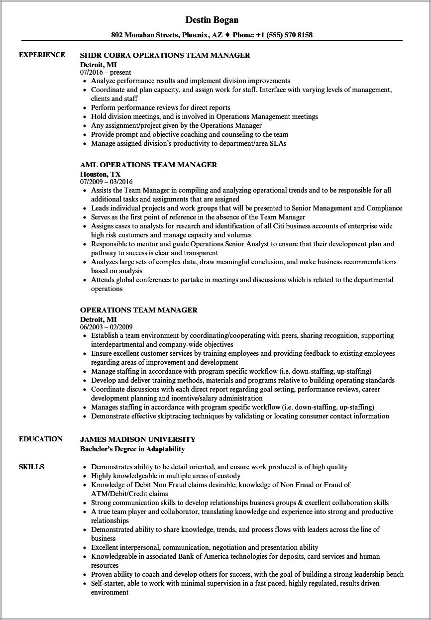 Resume For Team Manager Sample