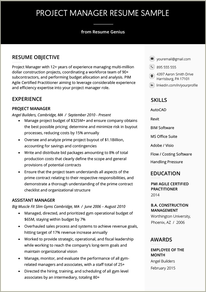 Resume Objective For Project Lead