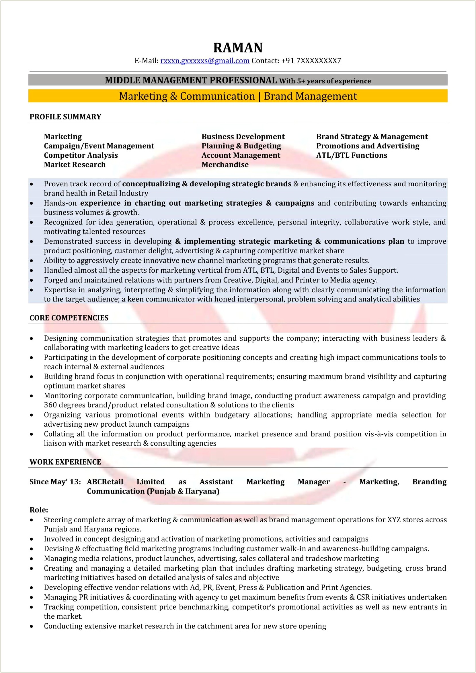 Resume Summary For Marketing Manager