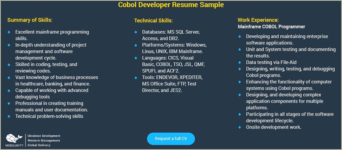 Sample Resume For Mainframe Tester