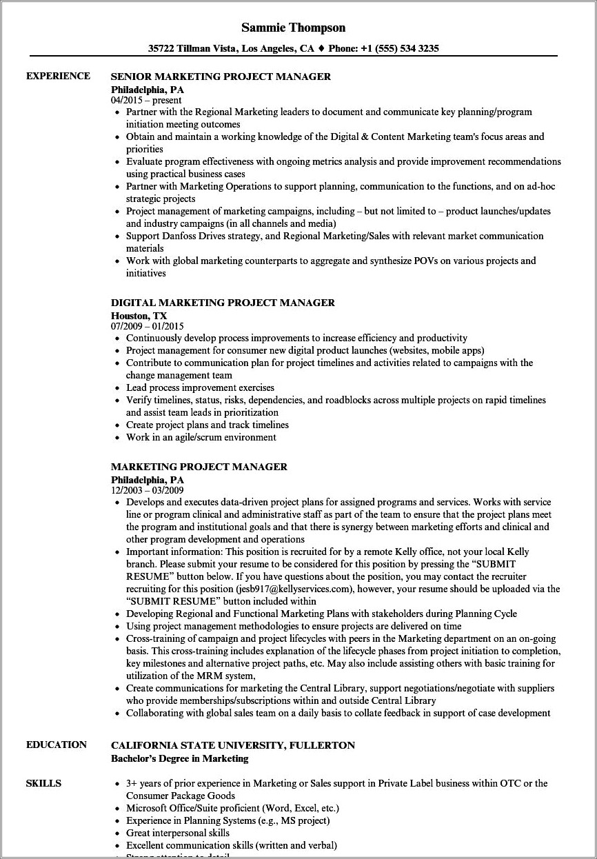 Sample Resume Project Manager Marketing